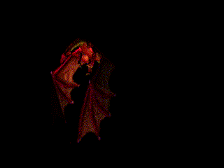 drago vola 5.gif